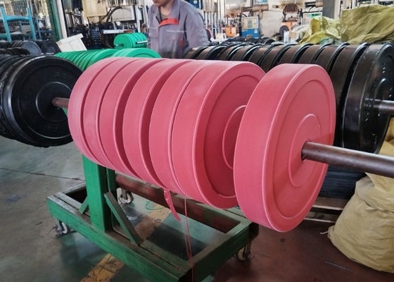 Plaques de poids de barre de fer 5 kg-20 kg optionnelles pour la force et l' endurance